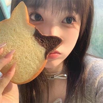 拳战之格斗江湖